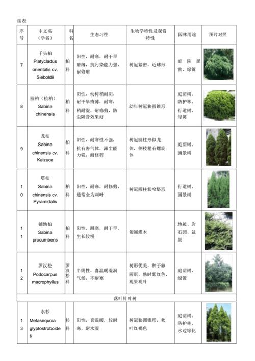 植物表格图对照.docx 42页