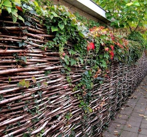 原创暑假回农村表哥家串门,一进院就被篱笆墙吸睛了,这小院真带劲!