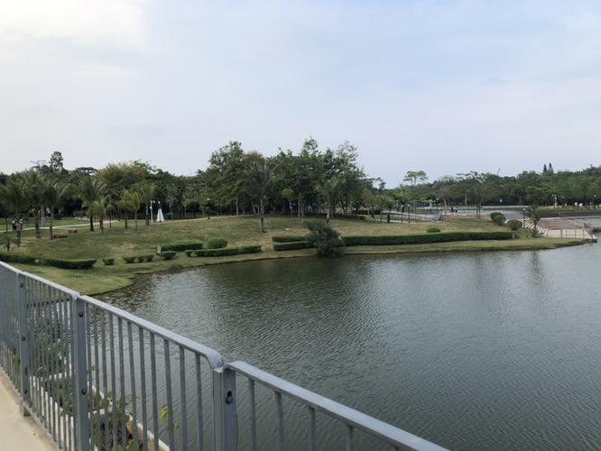 今天去附近的坪山河湿地公园走走 - 家在深圳