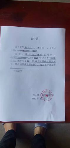 村委证明