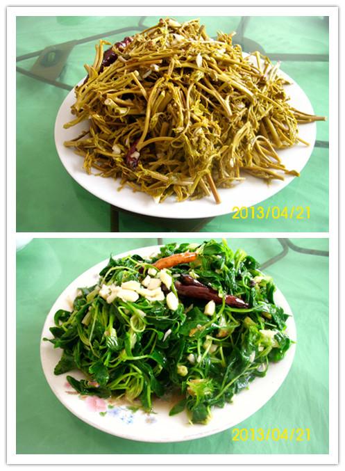 我们的中餐:凉拌山野菜——木兰芽,凉拌山野菜——二月兰