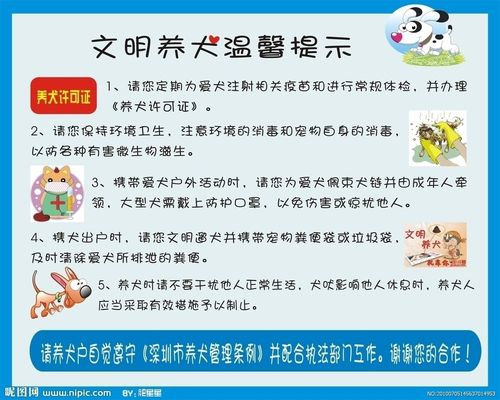文明养犬海报图片[矢量图,cdr]