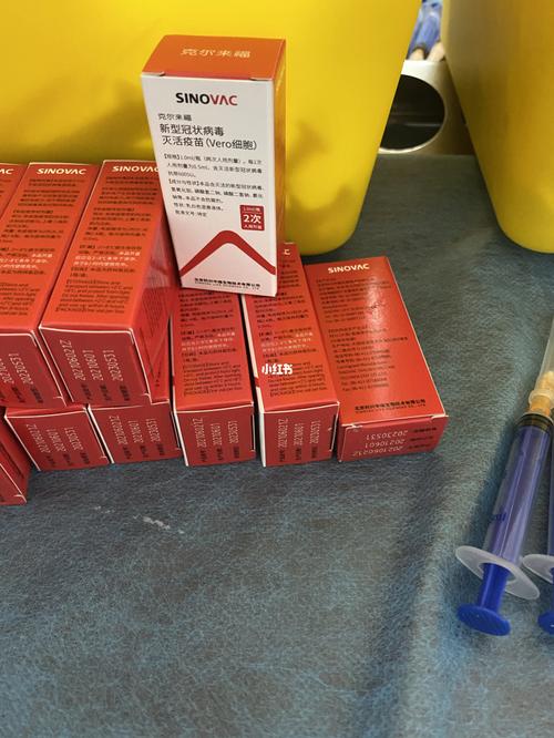 北京科兴_津点蛋糕自由行热门攻略_蛋糕_疫苗_椅子_医疗健康_医疗药品