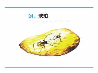 纳米技术与琥珀手抄报 手抄报模板大全