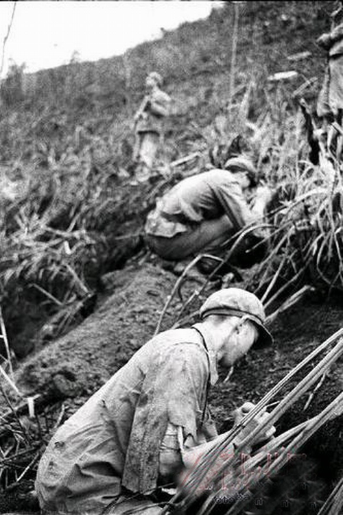 引用 七九年对越自卫反击战真实全景【图片大全】