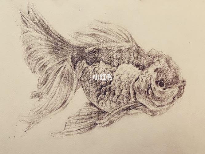 休息时练练手解解压_解压_文化_绘画