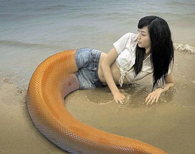 插画/漫画 美女蛇妖精 美人鱼女神 游戏女神传说