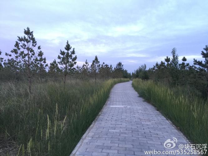 美丽靖边#五台森林公园----骑行休闲好去处!