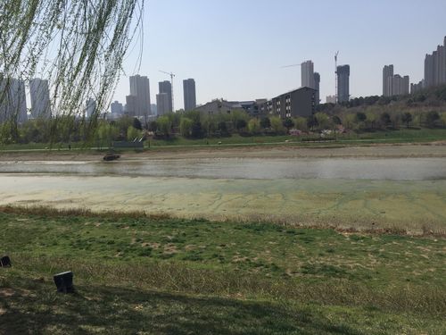 西安浐河 桃花潭