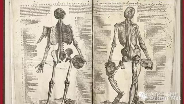 【雅昌专稿】人类医学探秘过程中 艺术家扮演着什么样