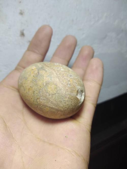 各位朋友这个鸡蛋化石值多少钱?