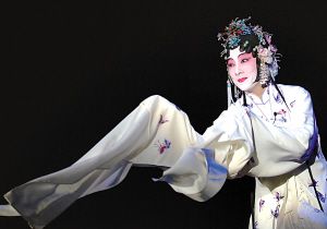 届中国昆剧艺术节"昆山曲韵"及中国昆曲国际学术研讨会在昆山大戏院隆