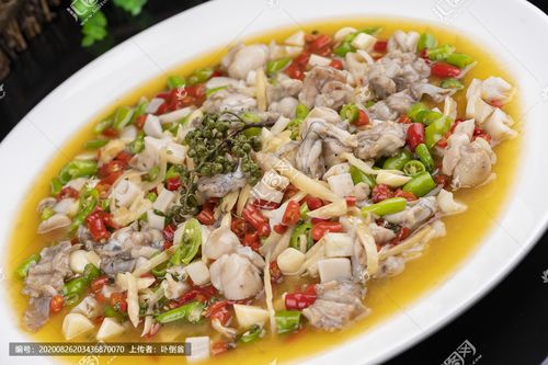 [正版商业]仔姜牛蛙