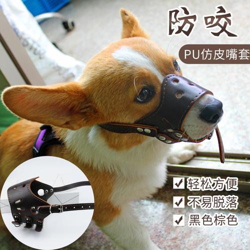 嘴套狗大型