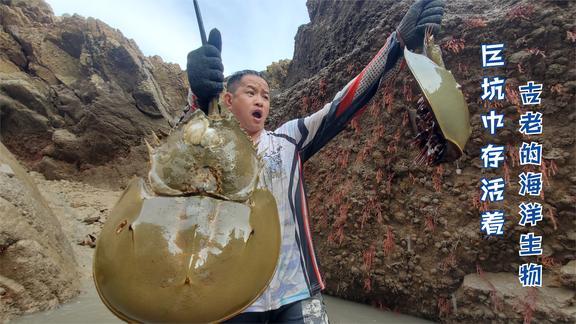 渔戈兄弟的个人主页 - 西瓜视频