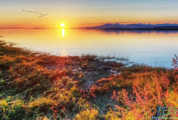 清晨阳光图片唯美图片