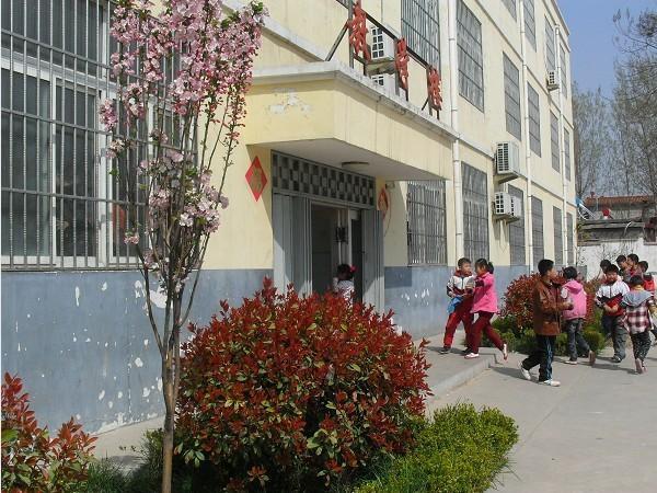 西纪小学:绿化美化见成效,绿树红花靓校园