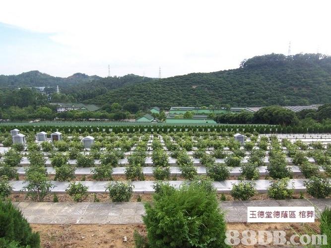 广州 南沙 玉德堂 土葬 墓园 24小时热线:6097 1033
