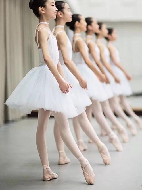 琳琳舞蹈艺校中国舞课堂融入芭蕾形体课程