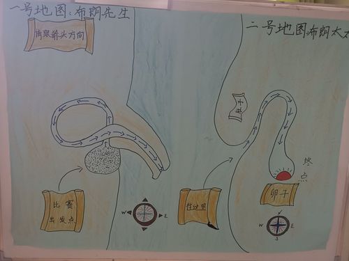 我从哪里来?合肥安博尔幼儿园中班生成活动案例分享