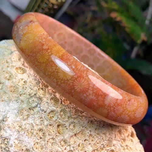 新品 凤尾 龙骨纹天然珊瑚玉手镯女士古风彩花珊瑚玉透光饰品礼品