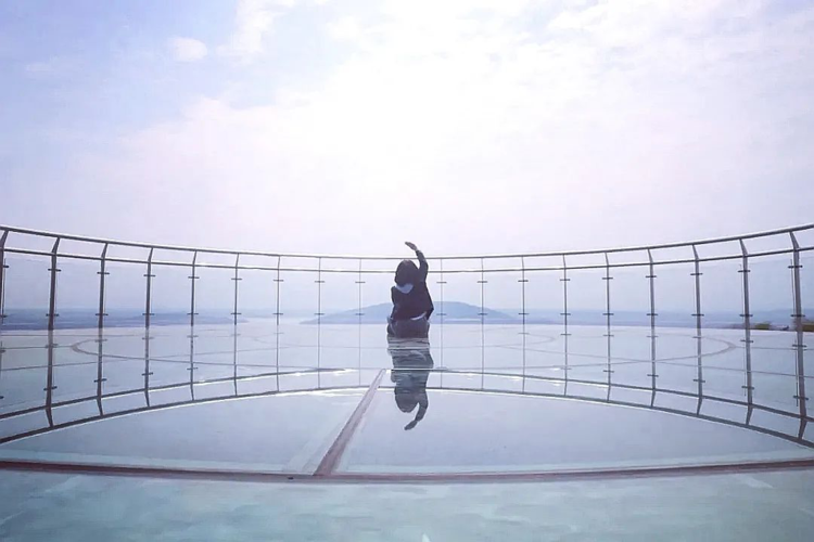 春日过半,南京金牛湖野生动物王国春游氛围依旧爆棚!原因是