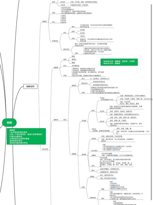 湖北专升本经验分享_专升本_网课_思维导图_思修_计算机_湖北专升本