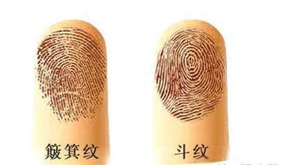 手指六个斗的男人好命吗六个斗的女生命运如何