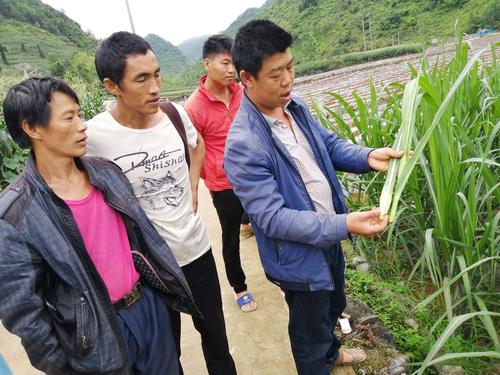 董马乡么铺子村:"四大课堂"进村子,群众致富有路子