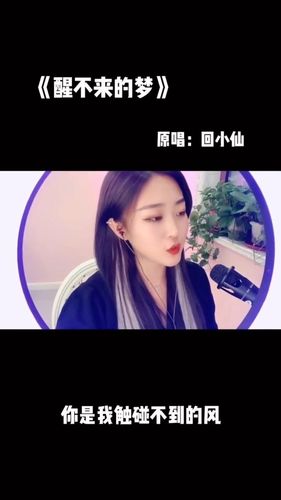 醒不来的梦–回小仙