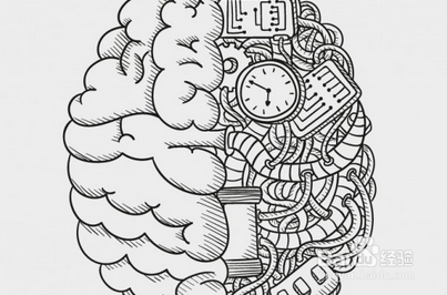 大脑的简笔画思考