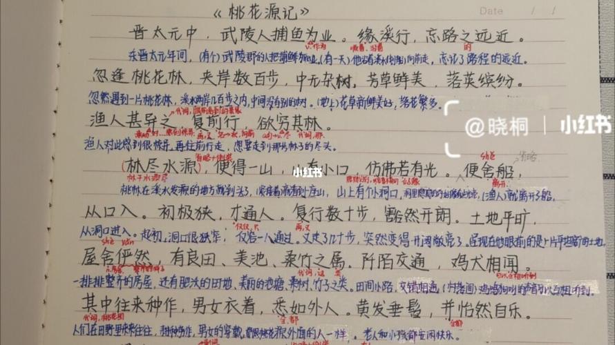 桃花源记原文翻译知识点