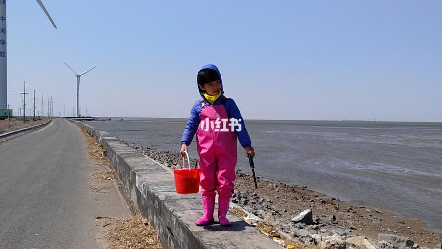 寿光羊口海滩赶海