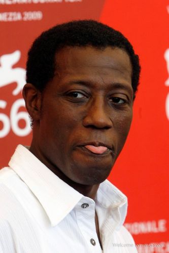 韦斯利·斯奈普斯 wesley snipes的小档案