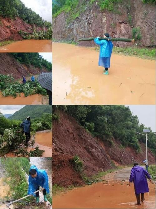 日由于受强降雨影响,慈利县杨柳铺乡岔溪村坜山公路遭到几棵大树跨毁