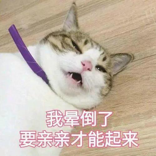 撩男朋友表情包 50张又污又可爱情侣表情包