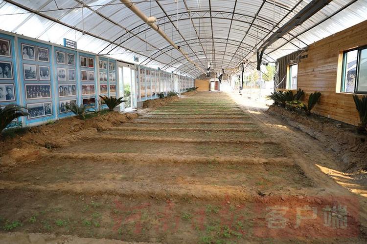 91处2320个,敢问这可以转换成多少耕地?河南正在清理拆除违规"大棚房"