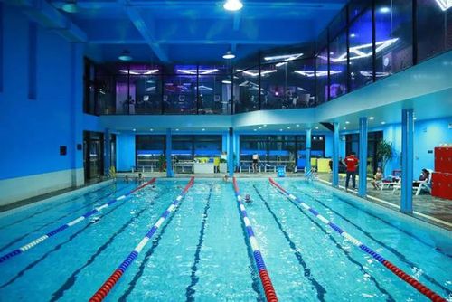 天秀游泳健身成为ibfa国际青少儿体适能游泳等级考评基地