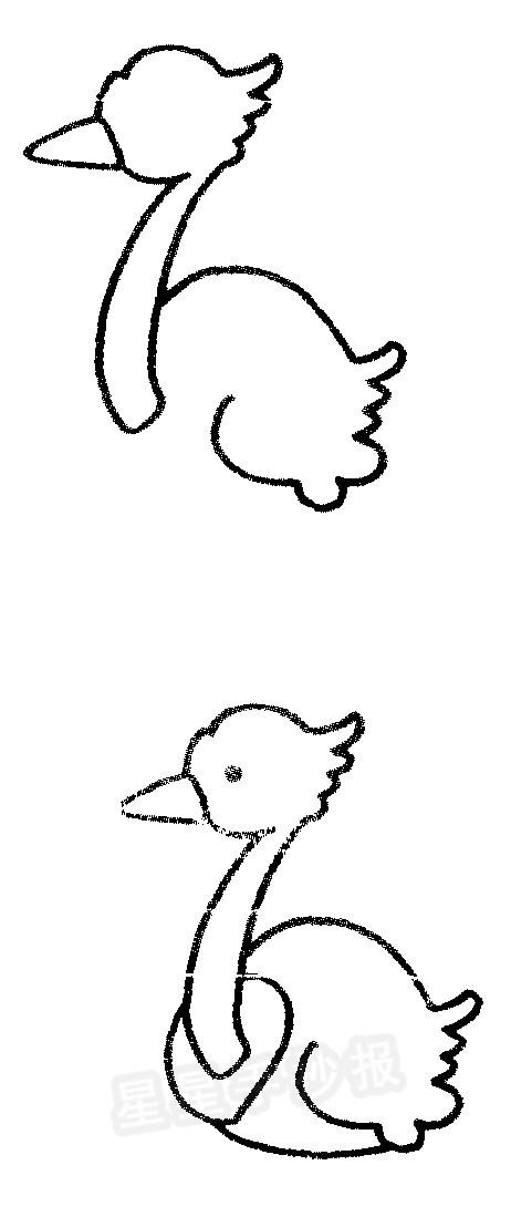 简单的鸵鸟简笔画