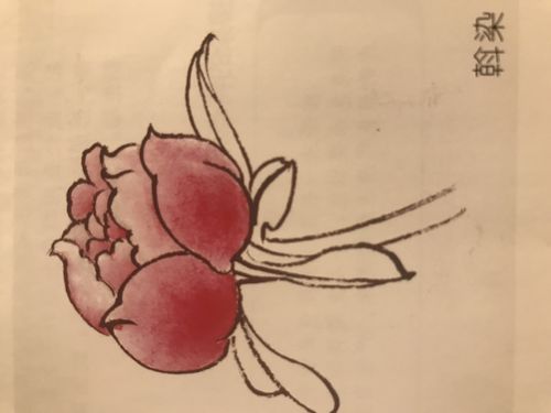 工笔画工笔画的基础知识