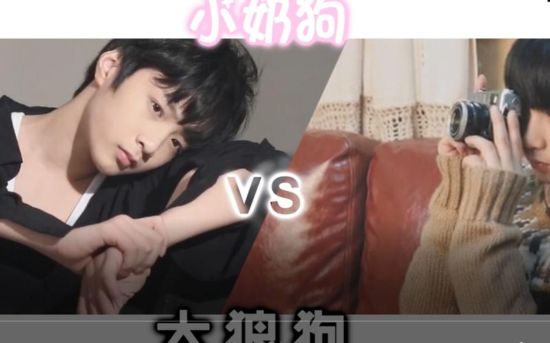 刘耀文小奶狗vs大狼狗18楼最a狼崽