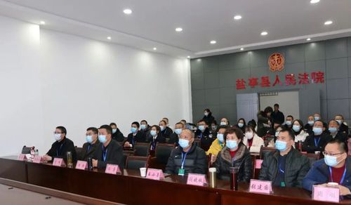 判了首犯获刑25年盐亭袁麒淞等19人涉黑案件一审公开宣判