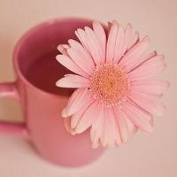 头像 风景头像 女人 像花一样养自己  0 0 回车桌面提醒您: 本站所有