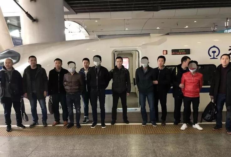 恶势力犯罪集团,南部县公安局