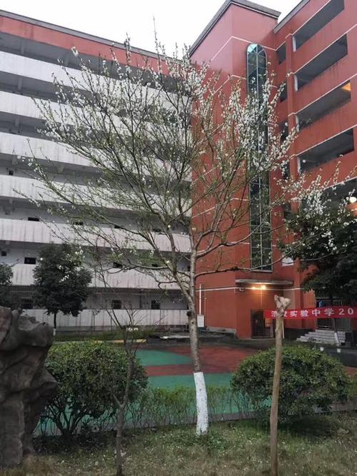 【毕业季】不悔梦归处,只恨太匆匆!再见,涪陵实验中学