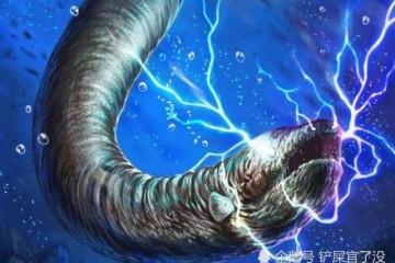 在水中放电的电鳗为何总是电不到自己特殊情况会变烤电鳗