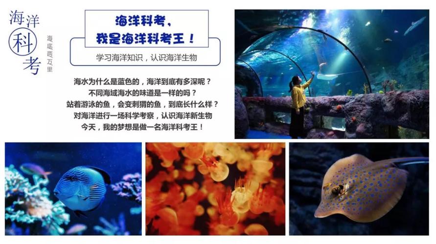 国庆神奇动物在哪里海底两万里宿于海洋馆蜗牛小勇士夜观大星空