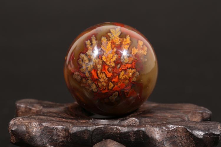 喜欢上谷草花战国红玛瑙的还喜欢