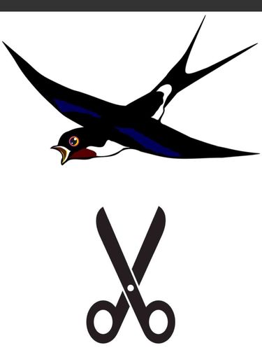 燕子的尾巴像剪刀