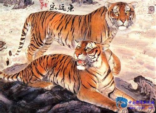 跟陈东远教授轻松学画虎